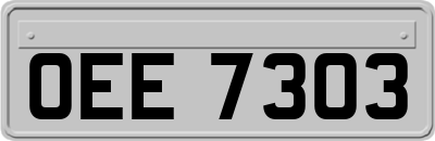 OEE7303