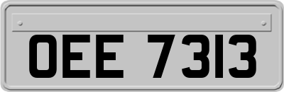OEE7313