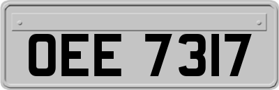 OEE7317