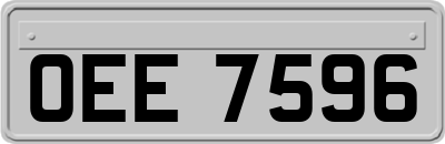 OEE7596