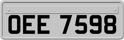 OEE7598
