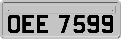 OEE7599