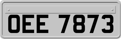 OEE7873