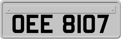 OEE8107