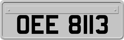OEE8113