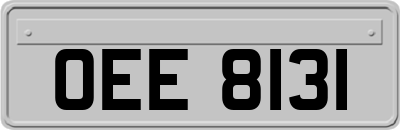OEE8131