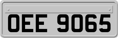 OEE9065