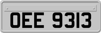 OEE9313
