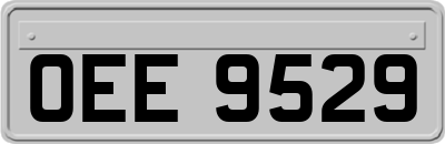 OEE9529