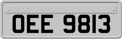 OEE9813