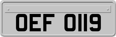OEF0119