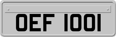 OEF1001