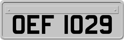 OEF1029