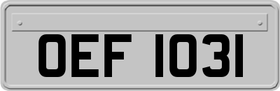 OEF1031