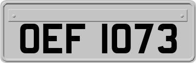 OEF1073