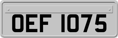 OEF1075