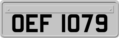 OEF1079