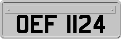 OEF1124