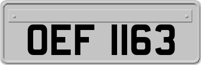 OEF1163