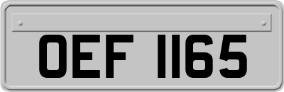 OEF1165
