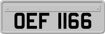 OEF1166