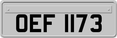 OEF1173