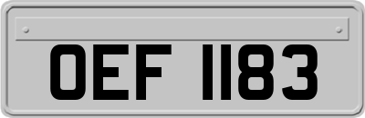 OEF1183