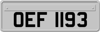 OEF1193