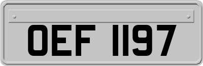 OEF1197
