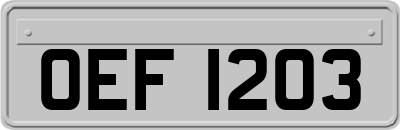 OEF1203