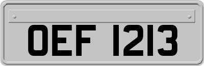 OEF1213