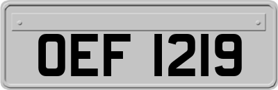 OEF1219