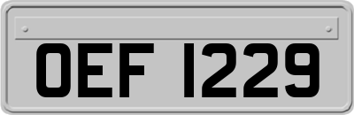 OEF1229