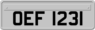 OEF1231