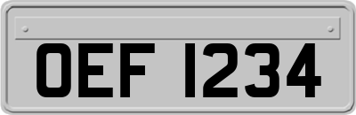OEF1234