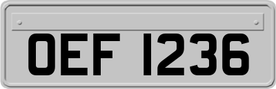OEF1236