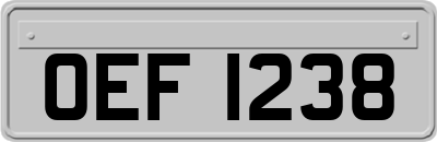 OEF1238