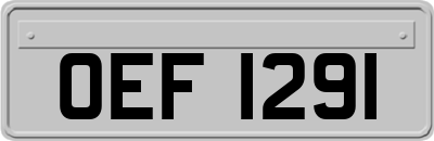 OEF1291