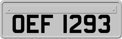 OEF1293