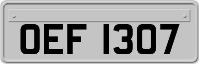 OEF1307