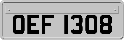 OEF1308