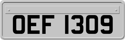 OEF1309
