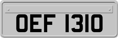 OEF1310