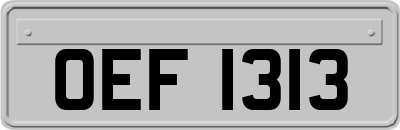 OEF1313