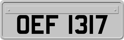 OEF1317