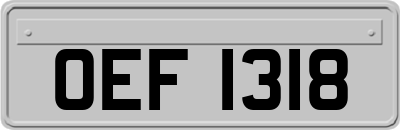 OEF1318