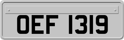 OEF1319