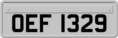 OEF1329