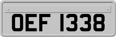 OEF1338