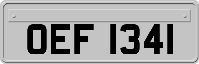 OEF1341